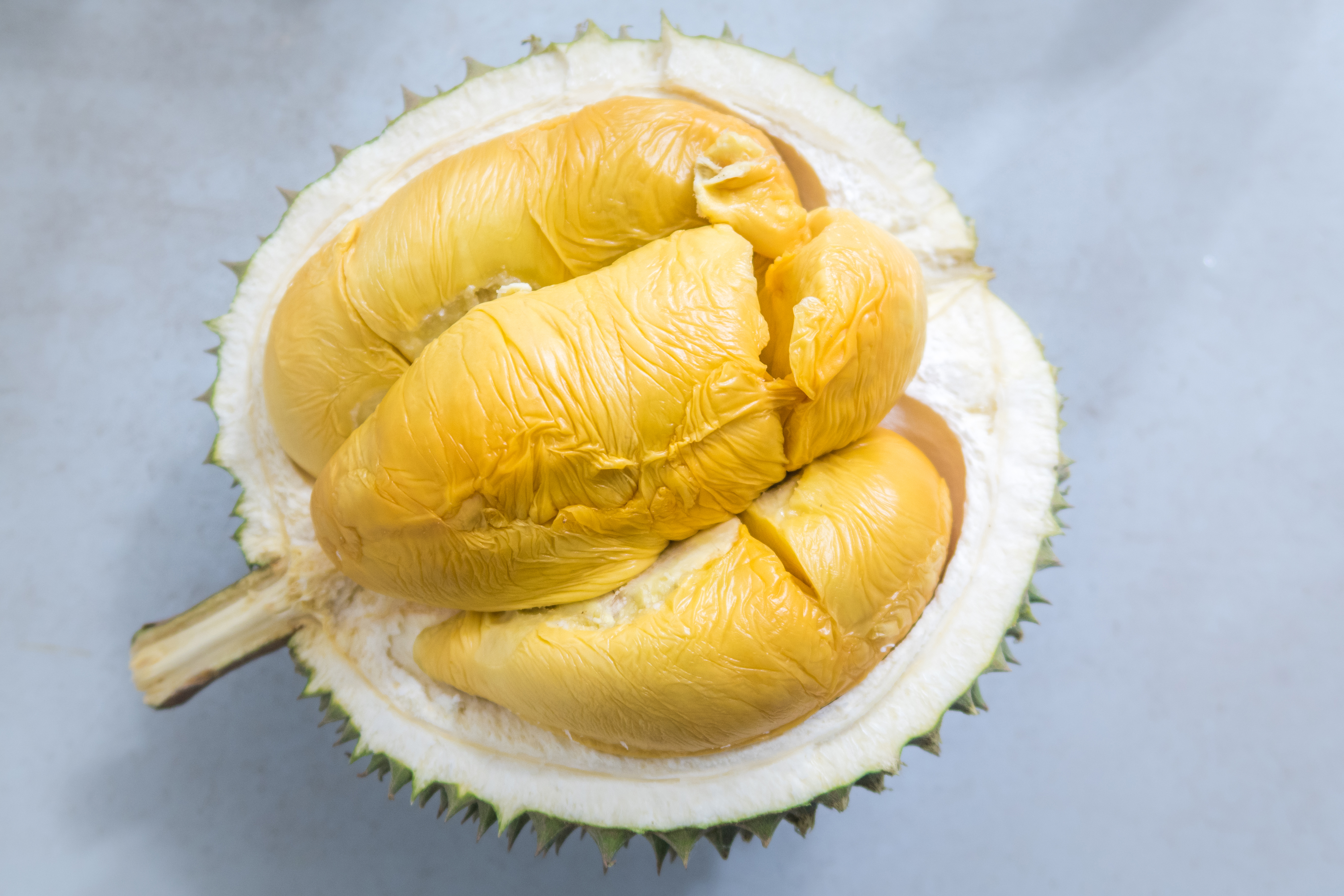 yzy 450 "sulfur" durian