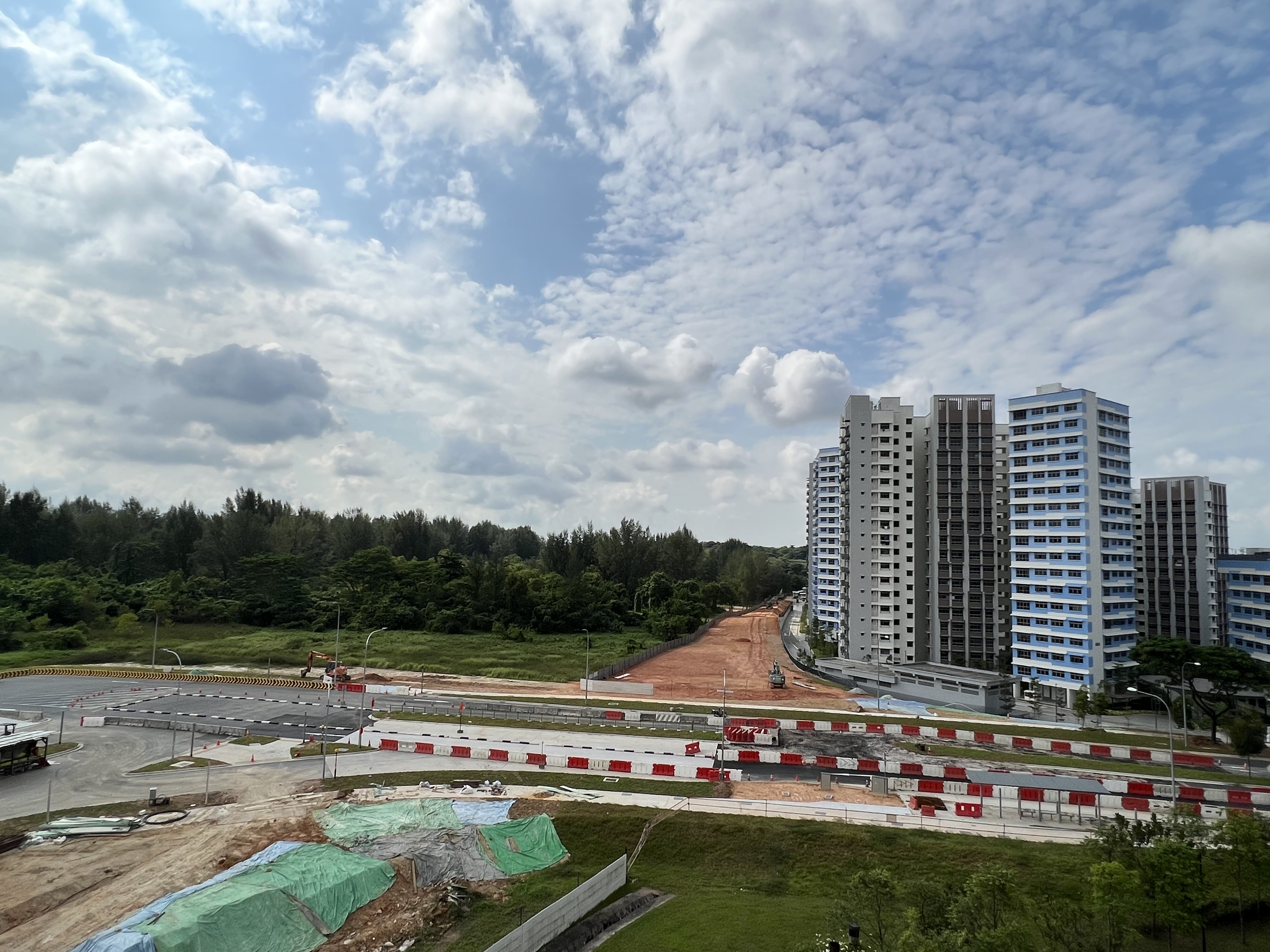 monkey steals bread in punggol