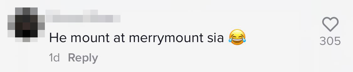 "He mount at merrymount sia"