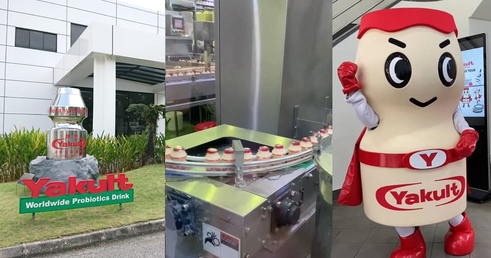 yakult factory tour review