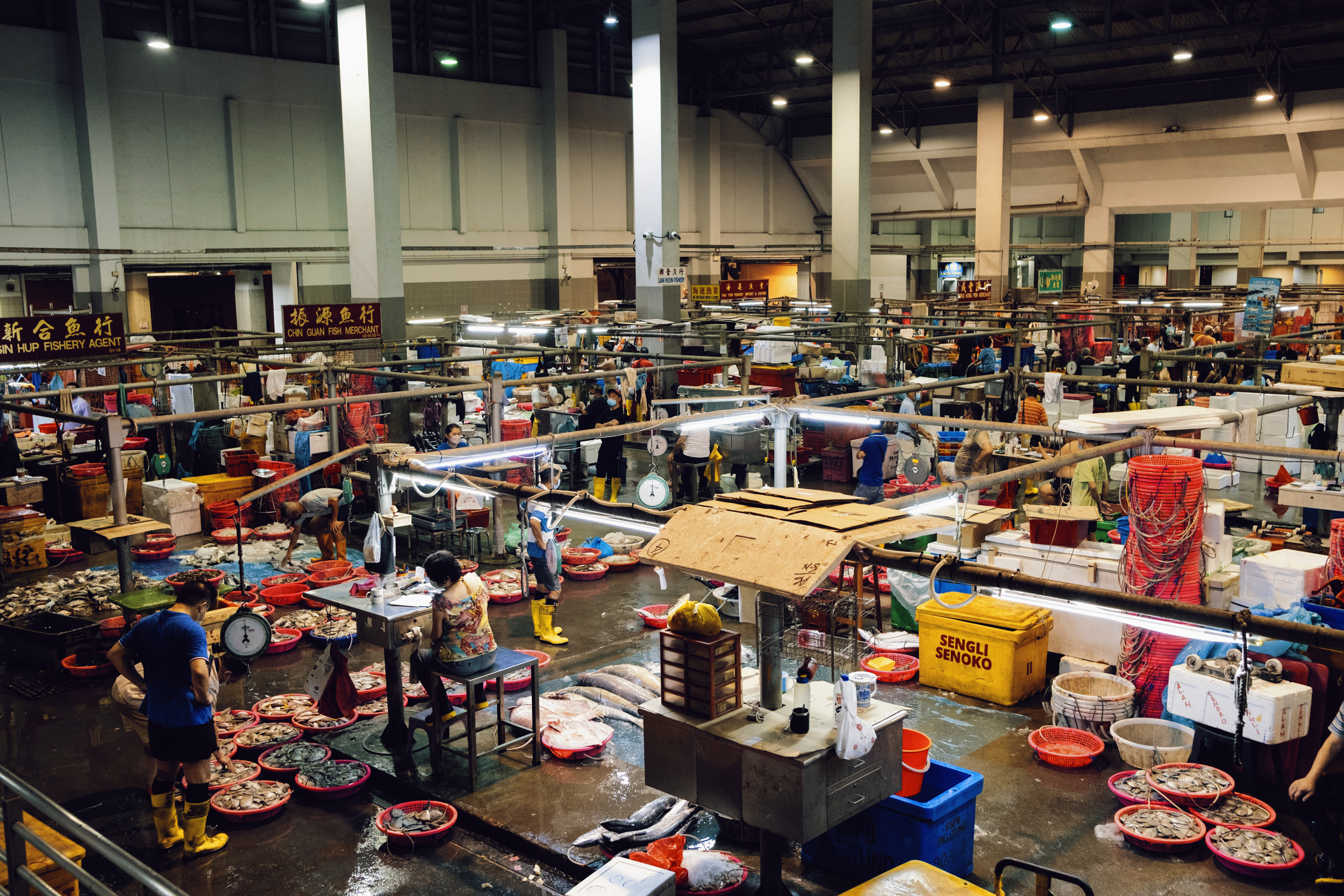 An overview of the Senoko Fishery Port wholsale market