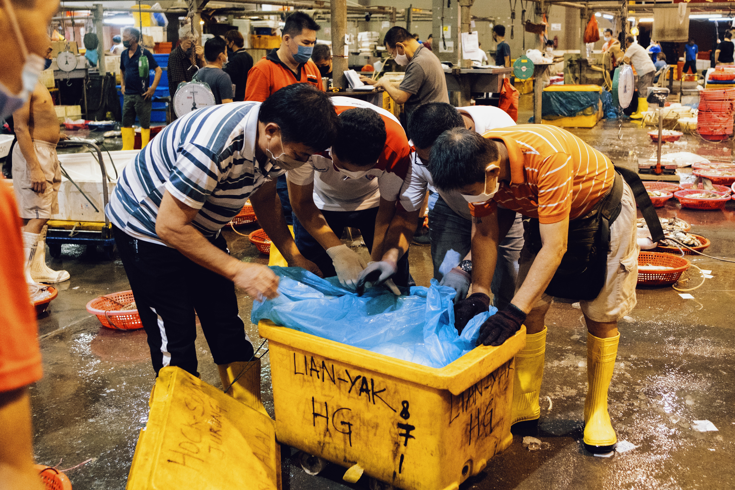 Customers and workers alike peer into the tubs of fishes.