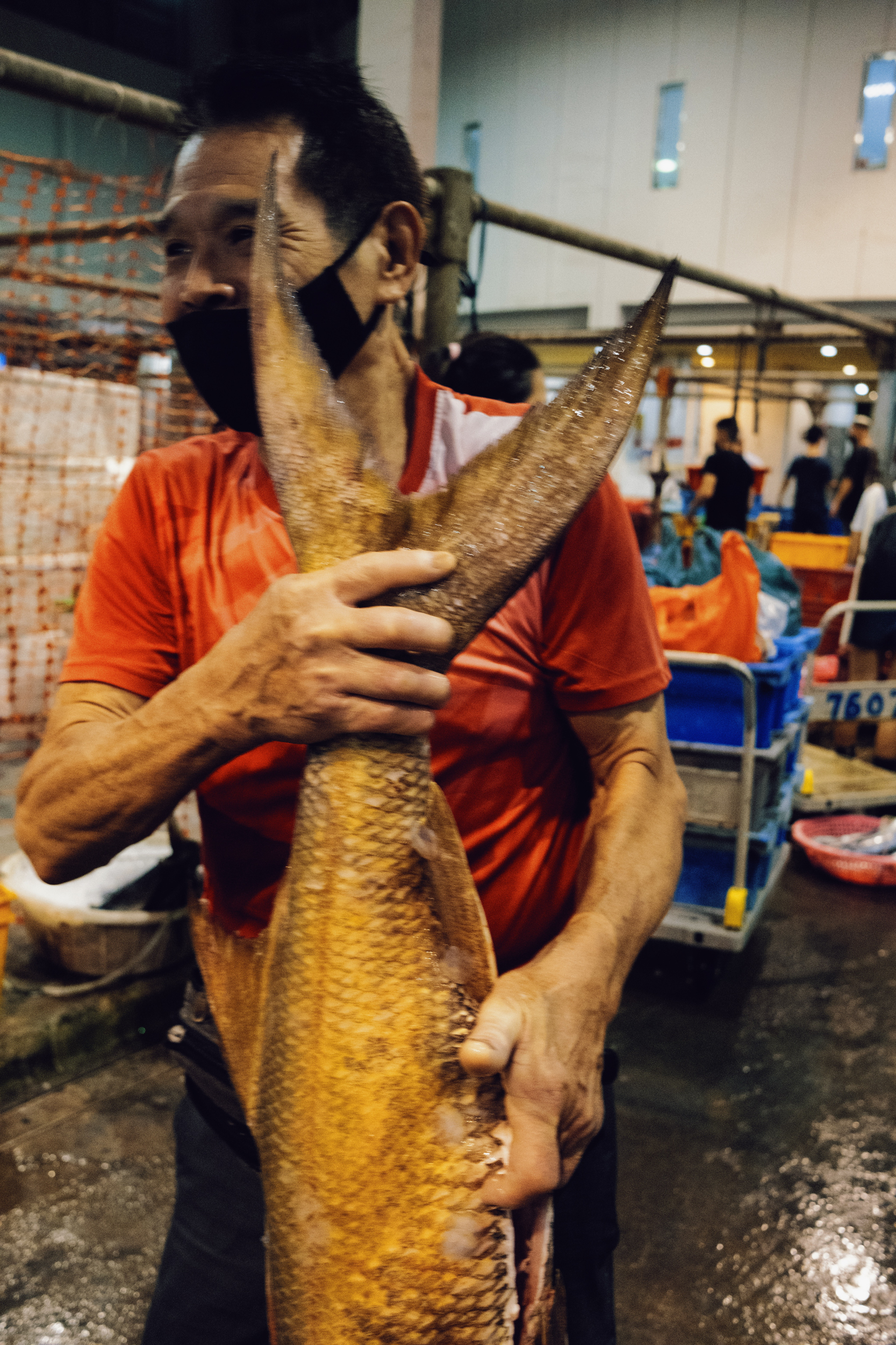 A man walks through Senoko with a huge fish.