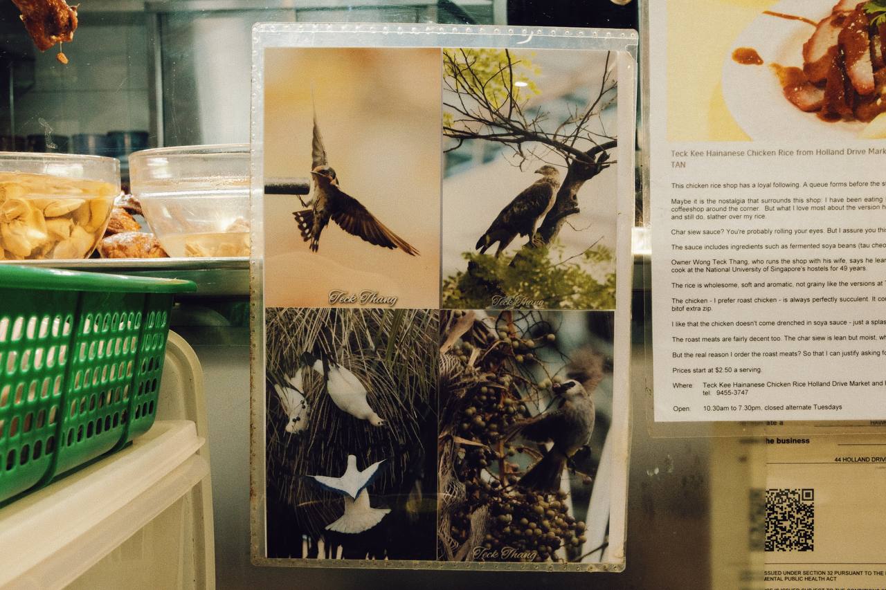 Wong's photos of birds.