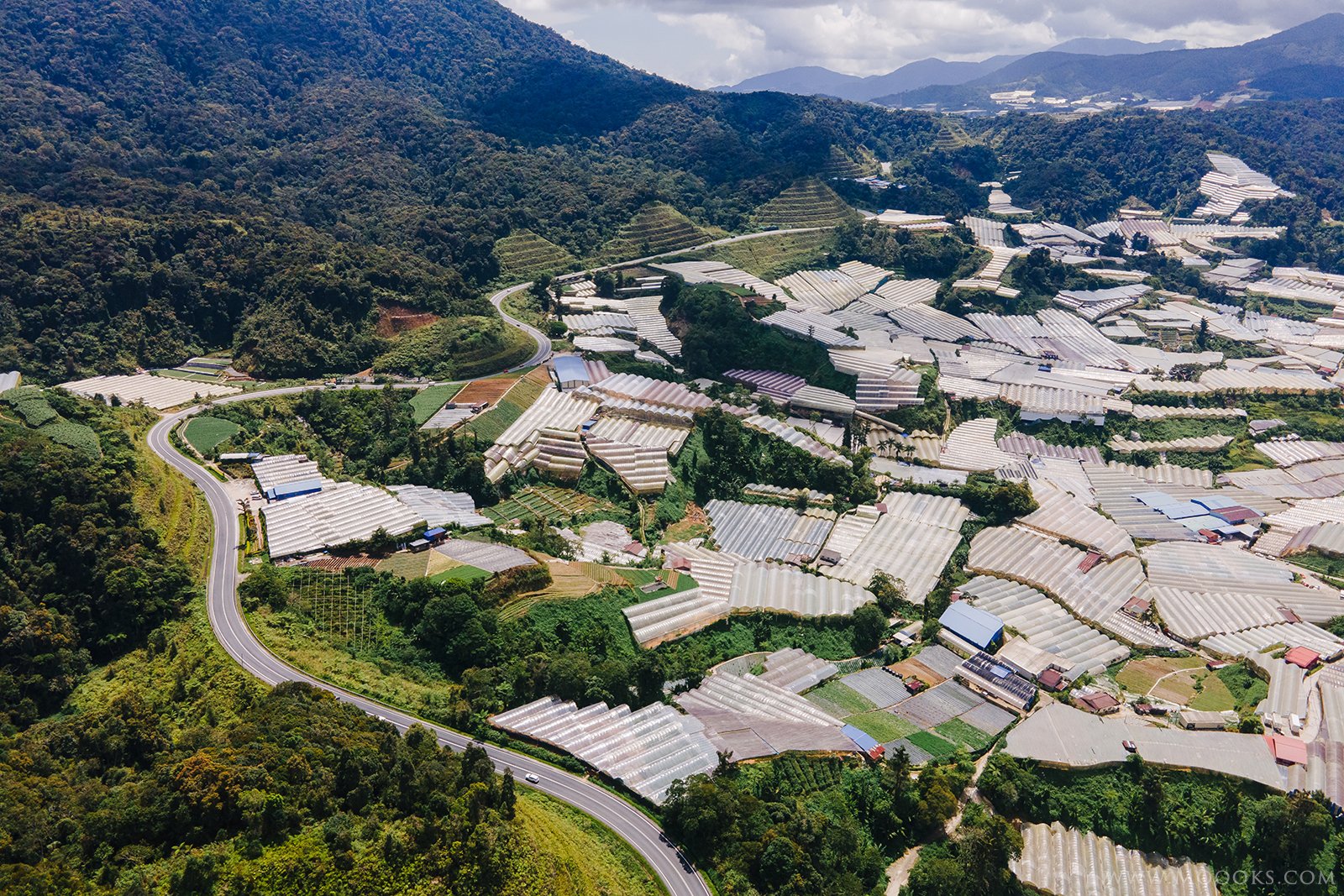 金马仑高原