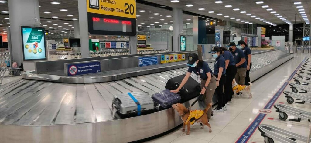 dogs checking luggage