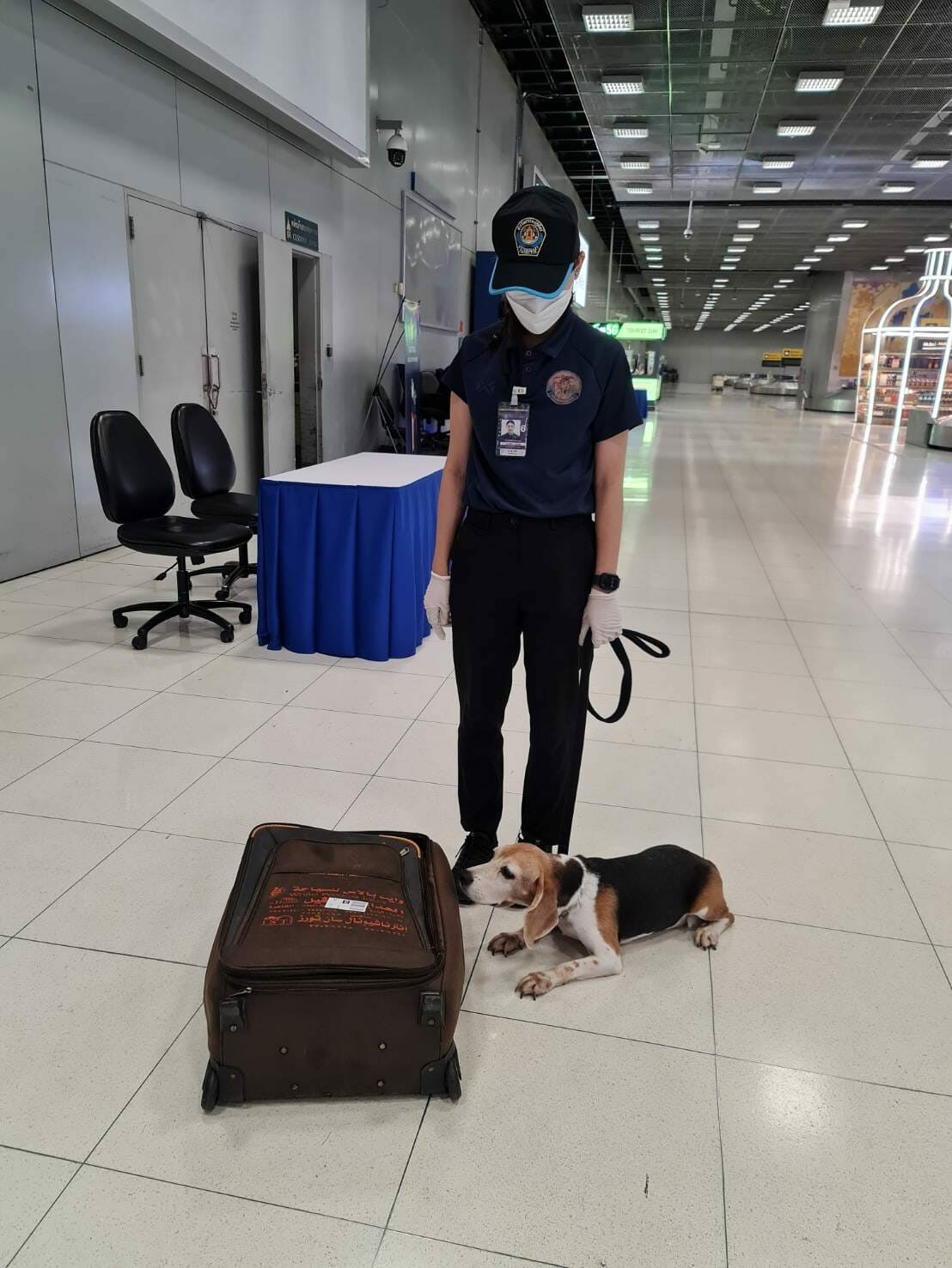 Sniffing luggage