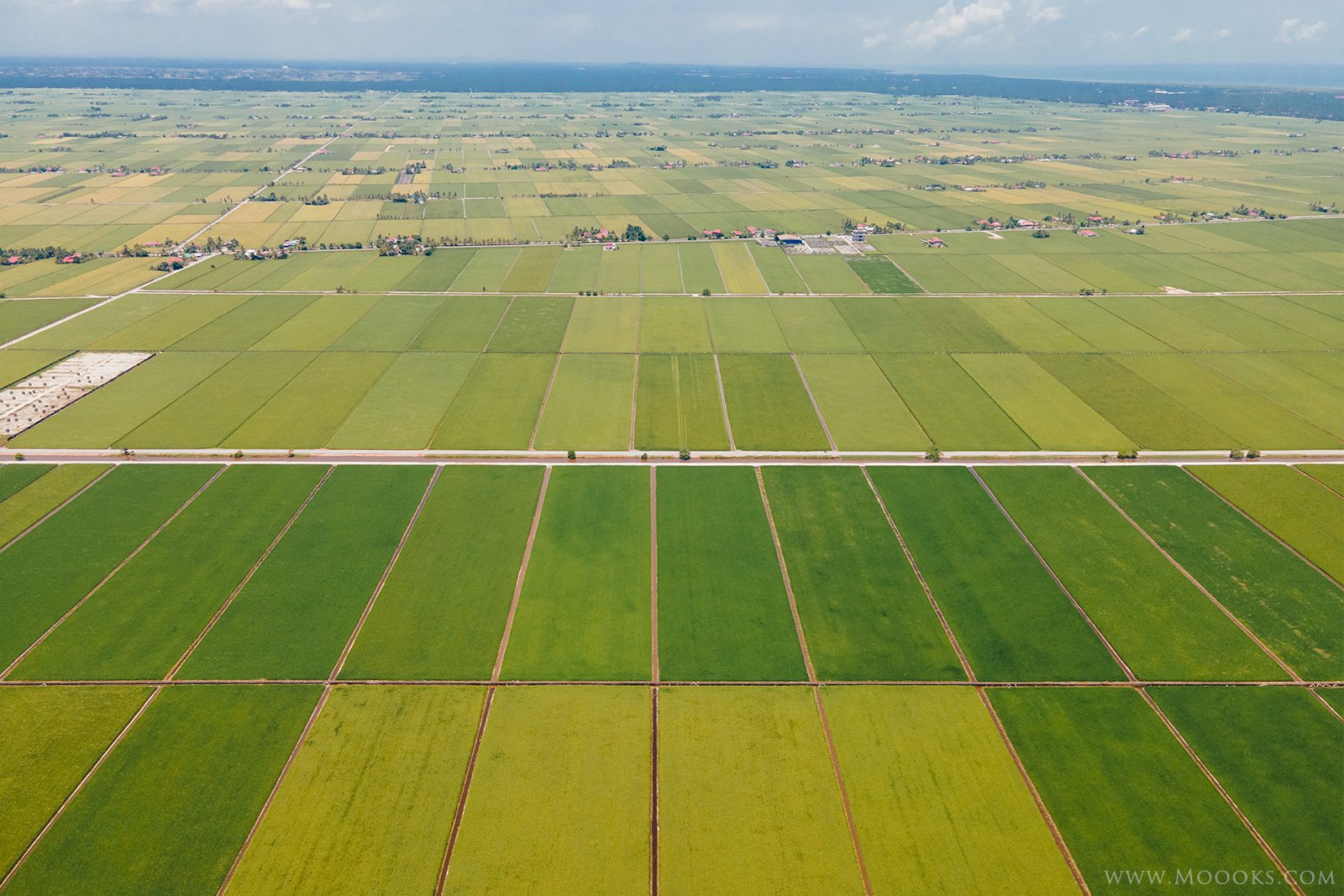 Sekinchan Paddy Farm