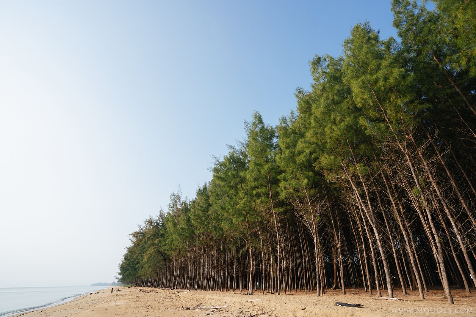 马来西亚的海滩