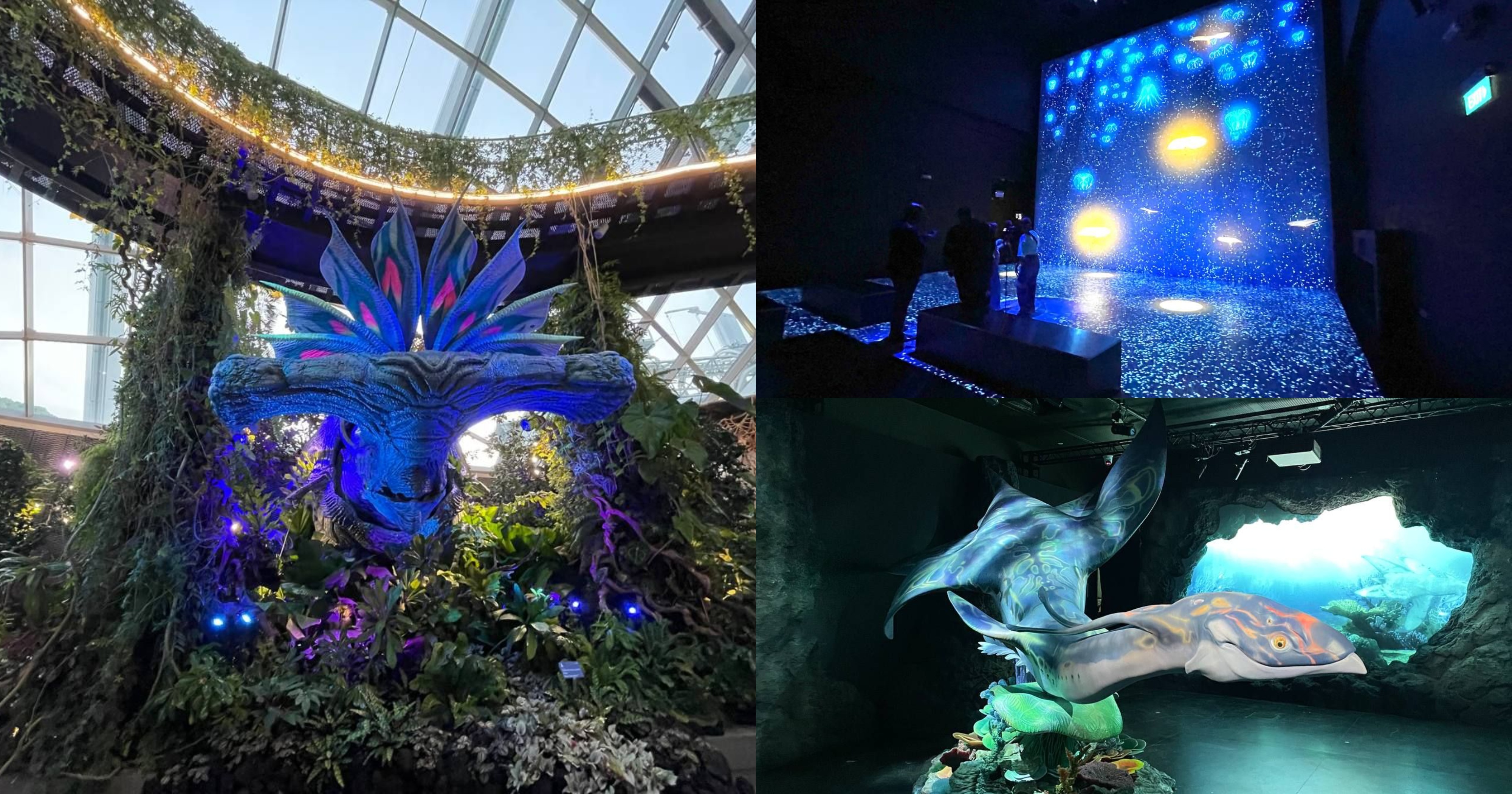 Gardens by the Bay transforms into Avatar planet Pandora with day  night  walkthrough experience  MothershipSG  News from Singapore Asia and  around the world