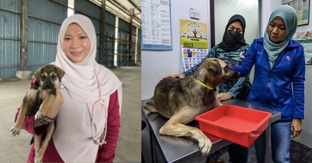 m-sian-muslim-vet-treats-dogs-despite-stigma-critics-telling-her-to