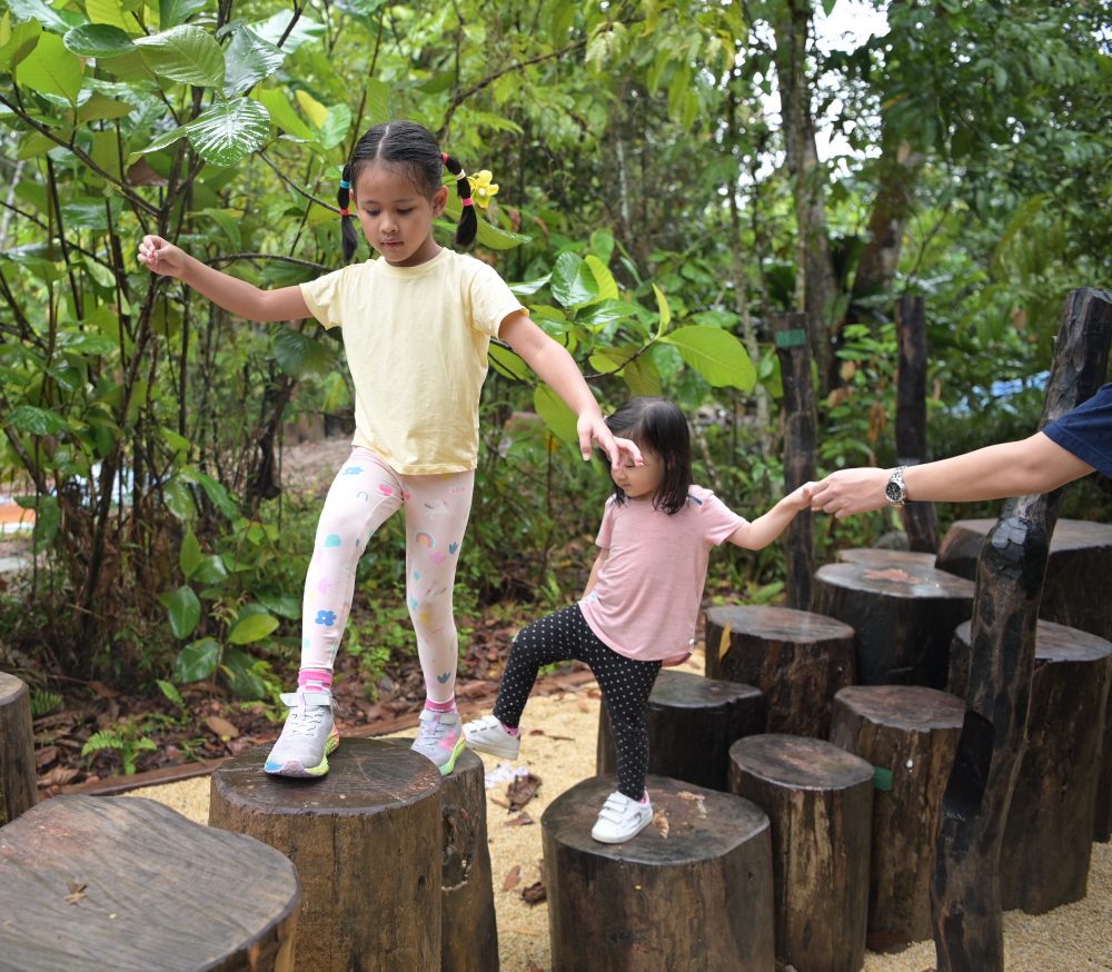 Discovering the Charm of Rifle Range Nature Park