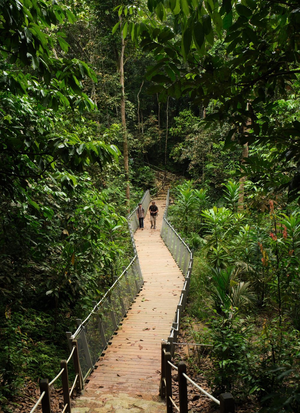 Discovering the Charm of Rifle Range Nature Park