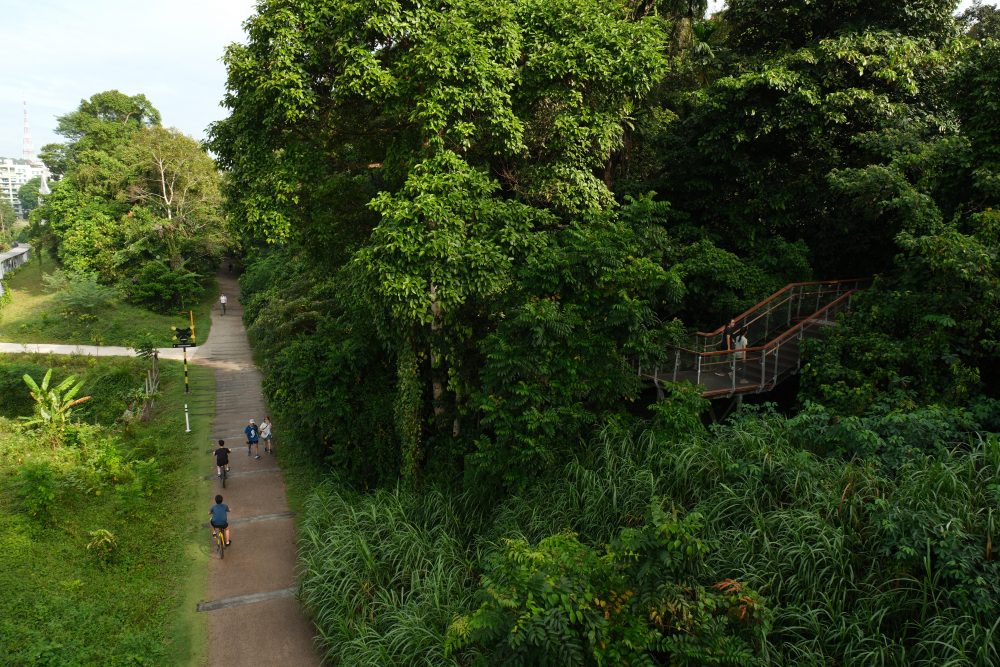 Rail-Corridor-Entrance_credit-NParks-e16