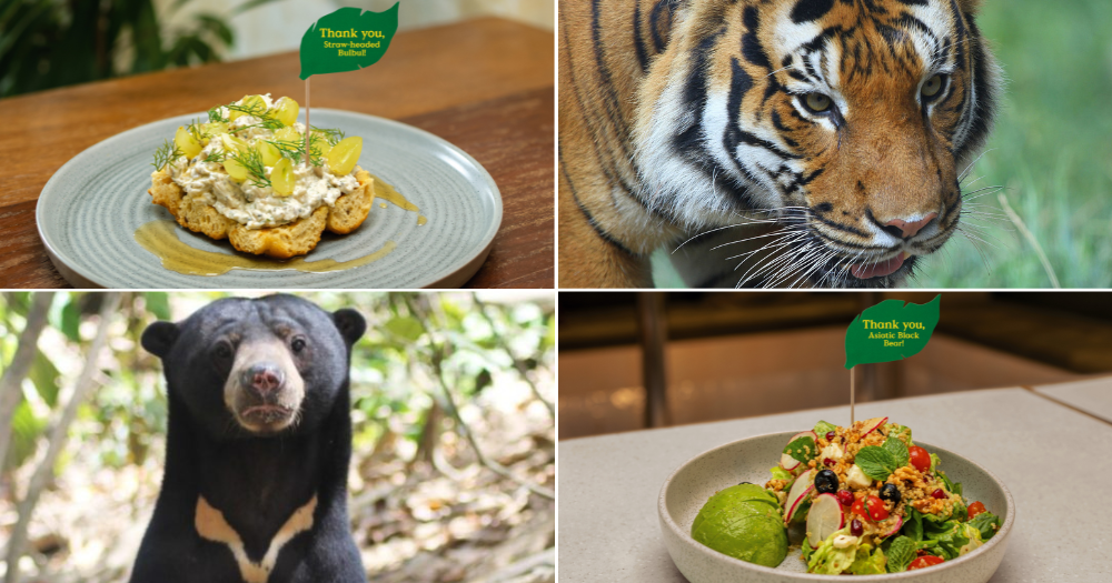 I Ate Dishes Inspired By The Diets Of Endangered Animals To Learn More 