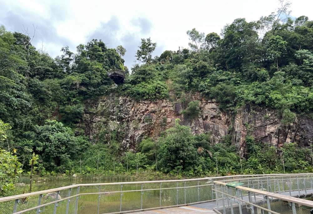 quarry-wetland-with-colugo-viewing-deck-