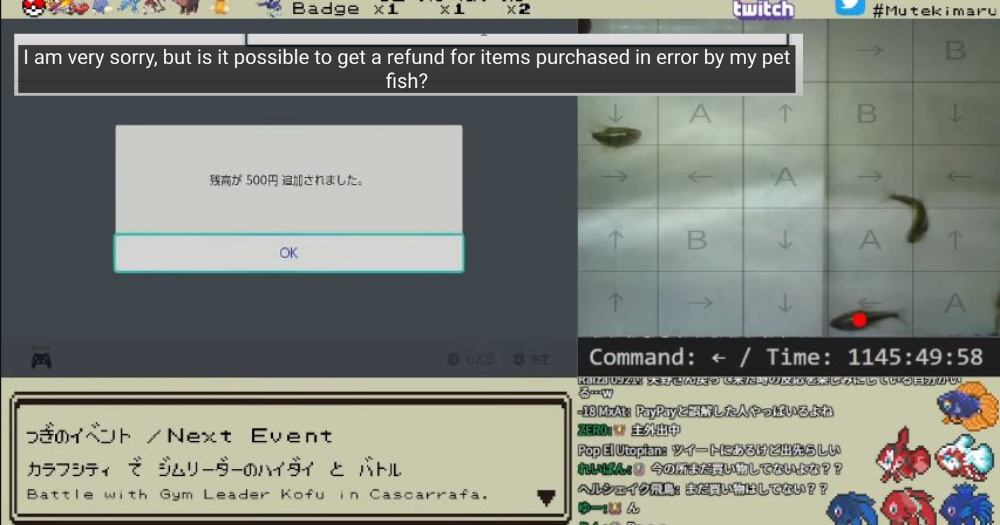 In Japan, pet fish playing Nintendo Switch run up bill on owner's credit  card, News