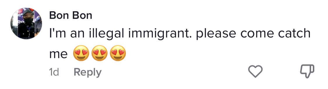 Comment that reads: I'm an illegal immigrant please come and arrest me.