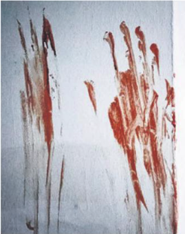 Handprints in blood