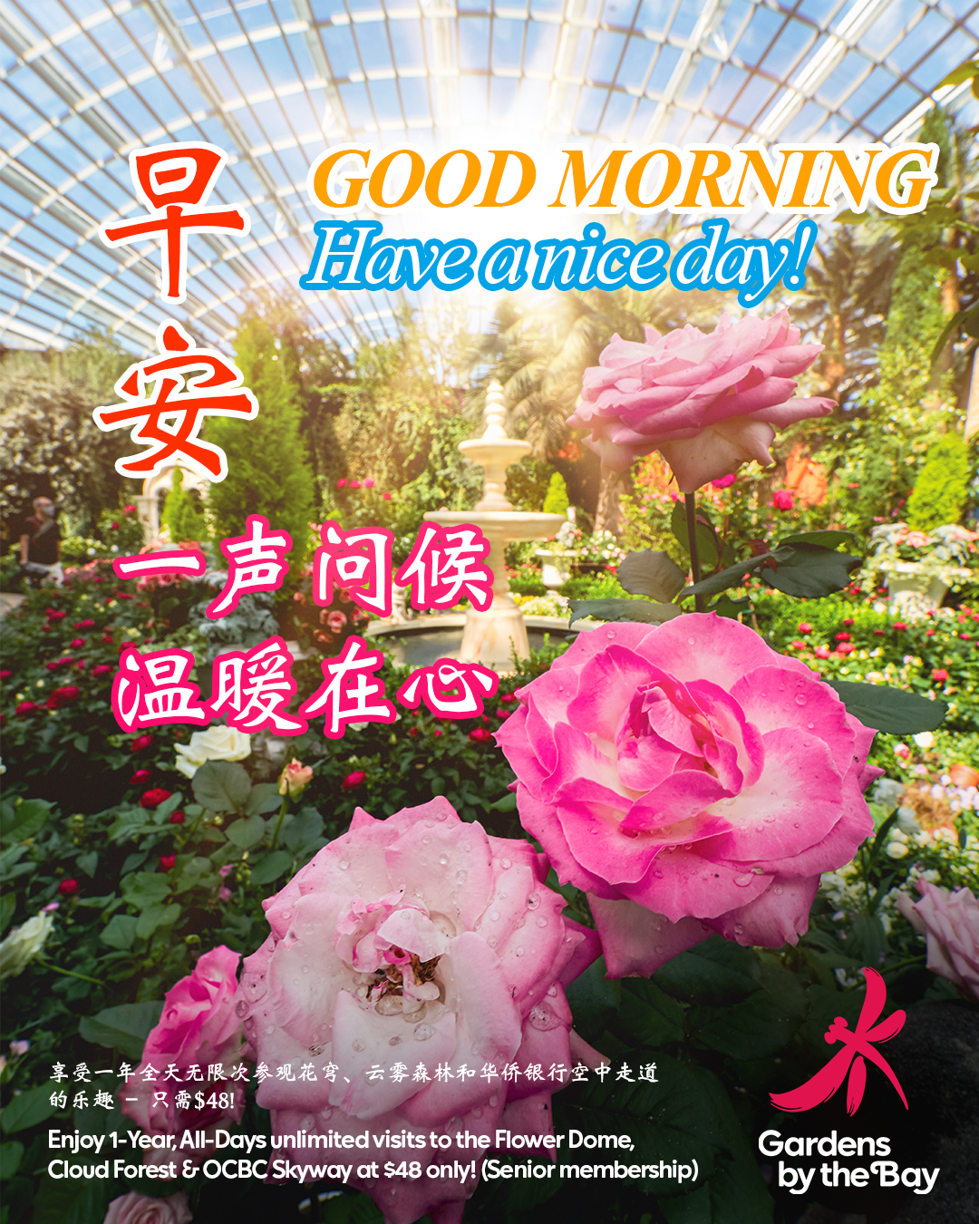 Gardens By The Bay does rekt 'Good Morning' messages with their ...