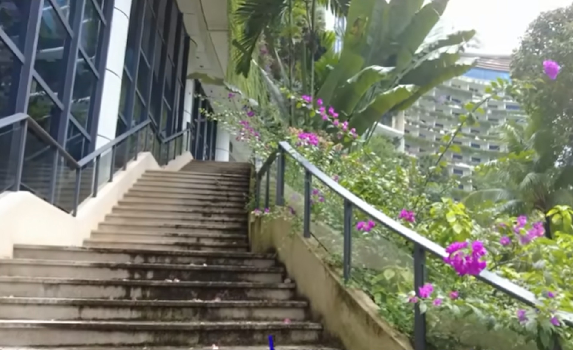 jb forest city ghost town stairs