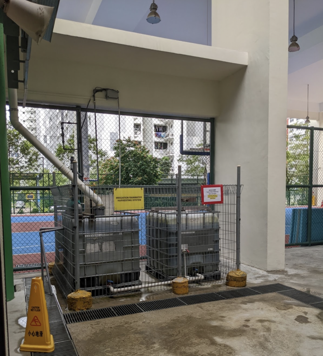 Former Greenwood Primary students designed & developed rainwater