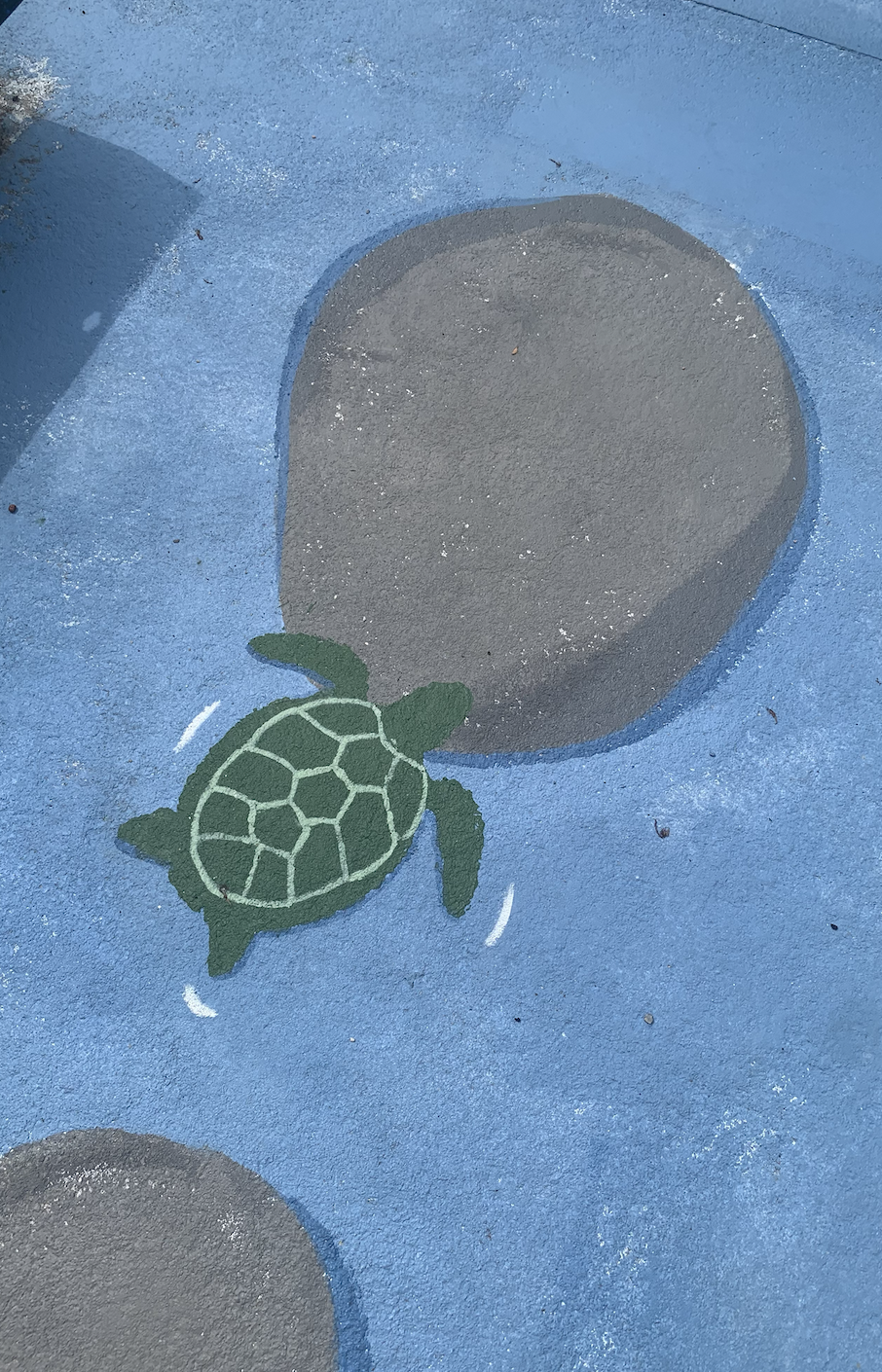 Turtle on the floor of the community garden