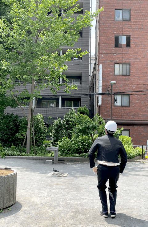 Japanese journalist publicly apologises & bows to crows who swooped at