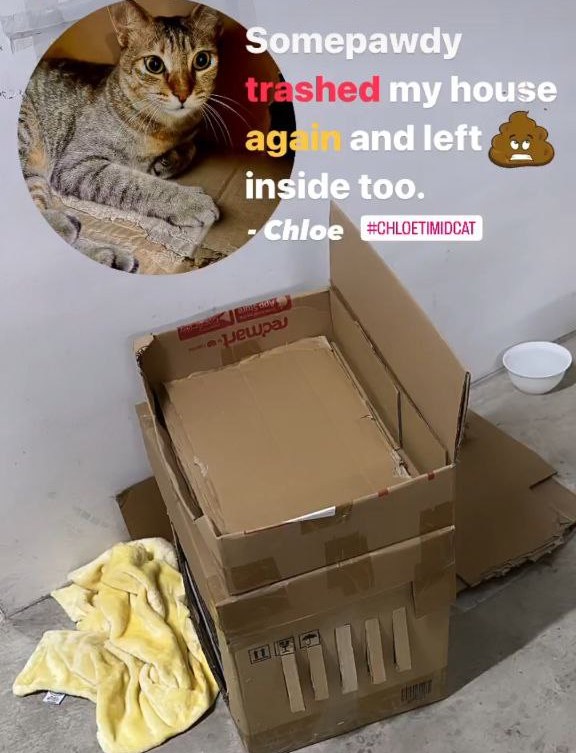 Someone in Kembangan keeps trashing community cat's box & leaving