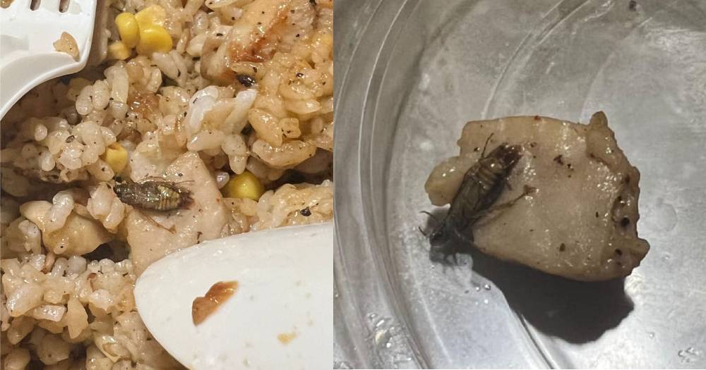 Man finds cockroach in Pepper Lunch rice bowl delivered from Compass One outlet - Vimarsana News