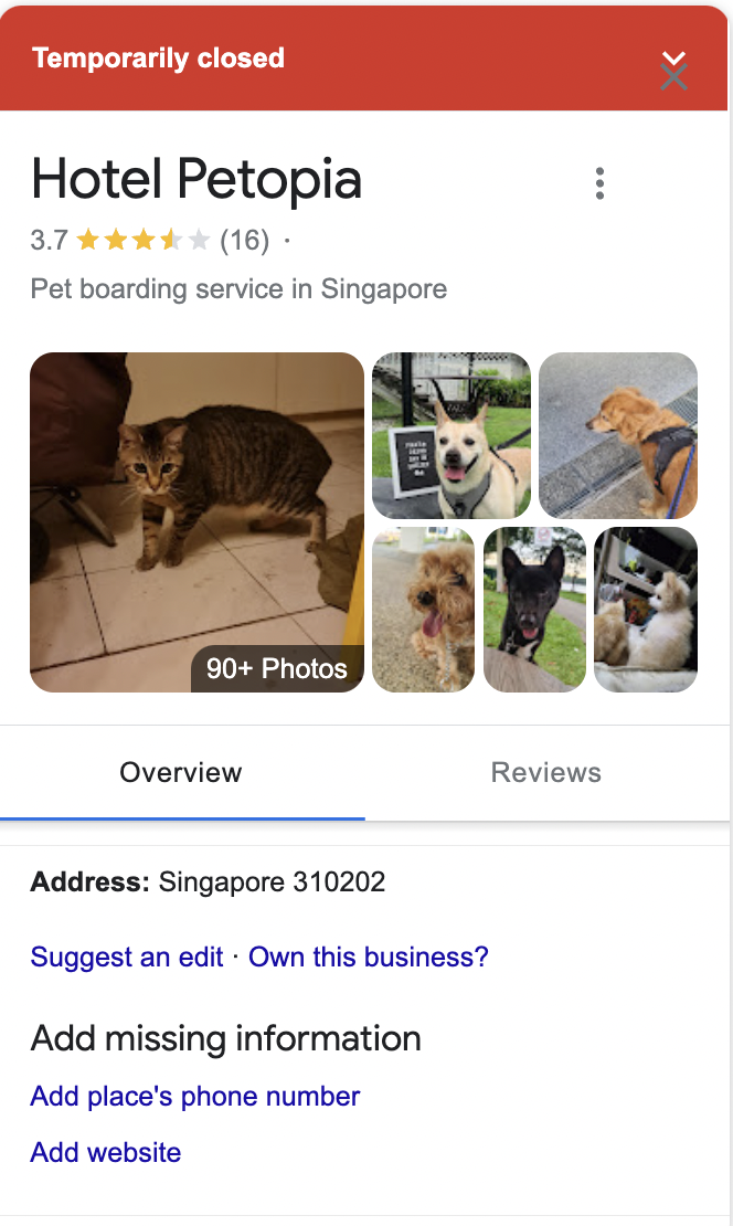 Cat boarding hot sale service