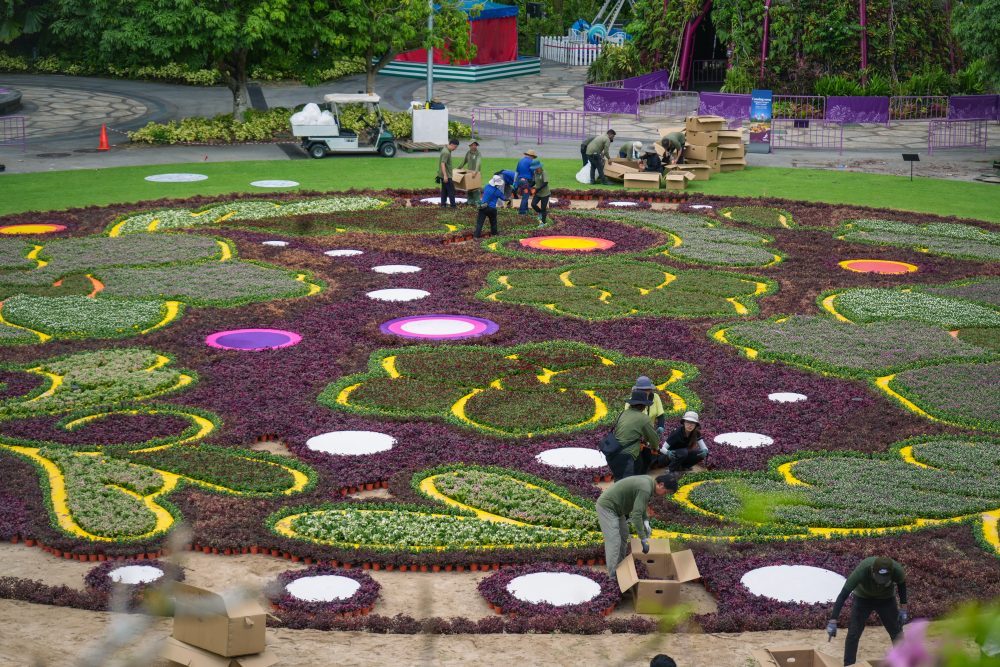 Catch Gardens by the Bay Flower Carpet Until October 1