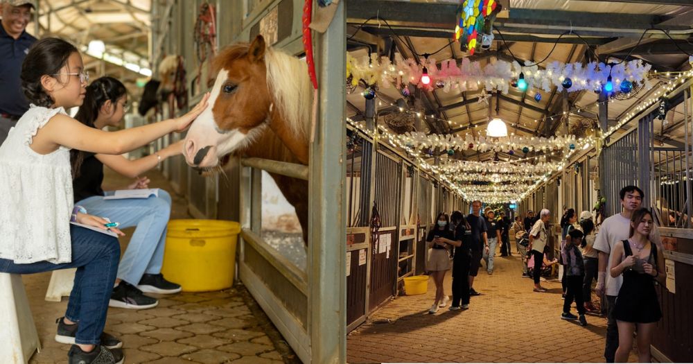 See therapy horses, shop at a Christmas market & take part in art workshops for a good cause from Dec. 14 - 17, 2023