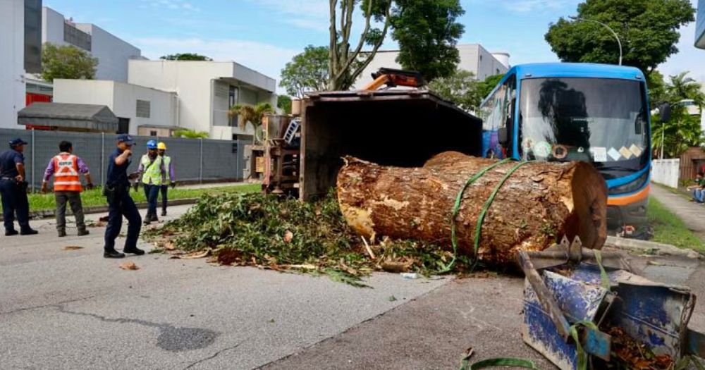 Lorry transporting tree trunk rolls over & hits private bus, 3 injured