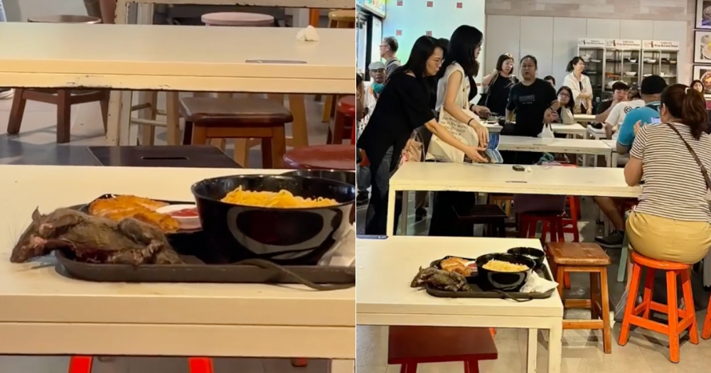 Rat falls & lands on tray with food at Tangs Market, startles diners