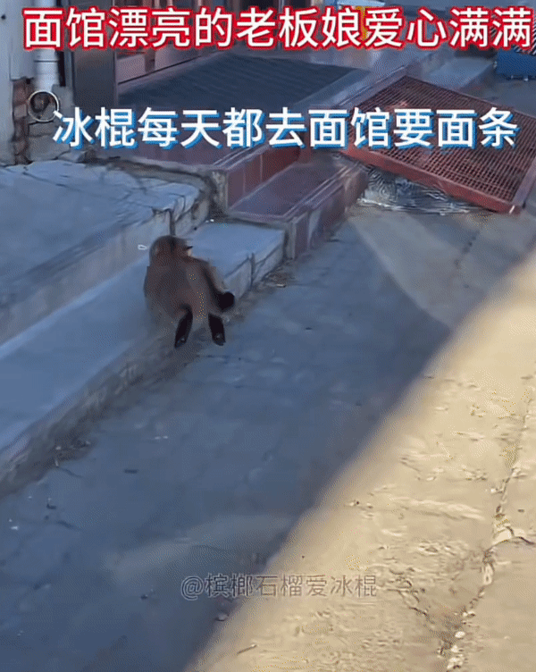 https://static.mothership.sg/1/2023/12/ezgif.com-video-to-gif-46.gif