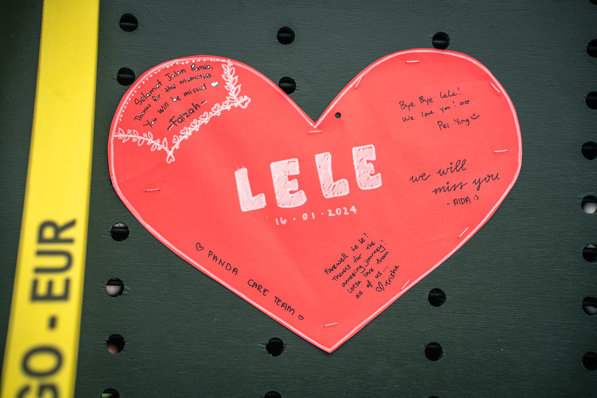 A love-heart-shaped piece of cardboard with endearing messages to Le Le from his keepers.
