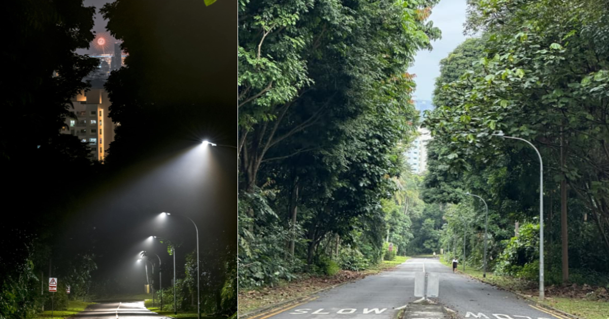Photographer shoots mindboggling Marina Bay New Year fireworks from