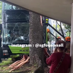 Screenshot from sgfollowsall.backup depicting the Apr. 16 bus accident.