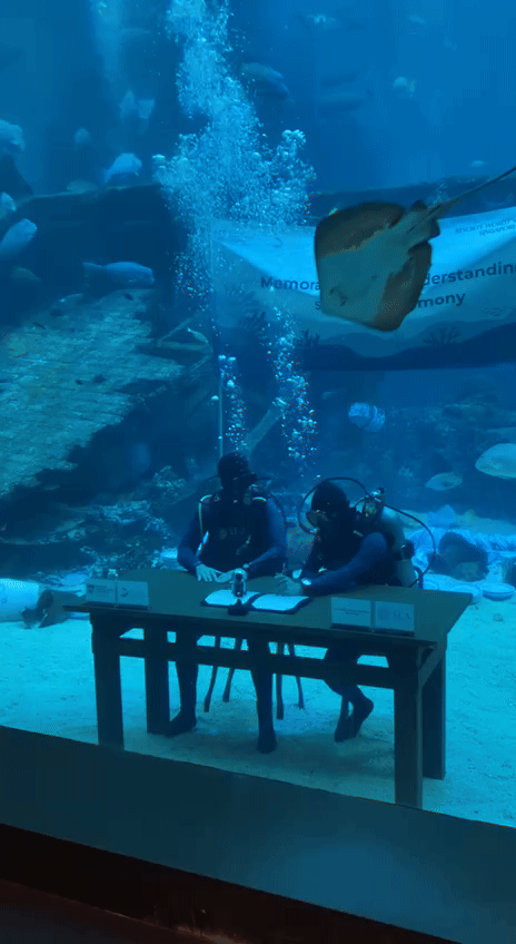 mantaraysigning