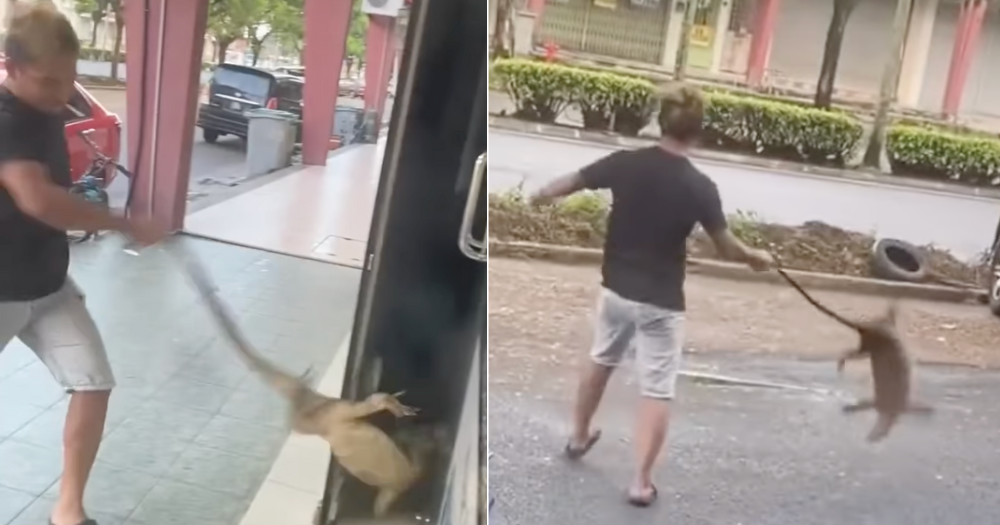 M'sia Man Drags Monitor Lizard Out By Its Tail & Swings It Around 