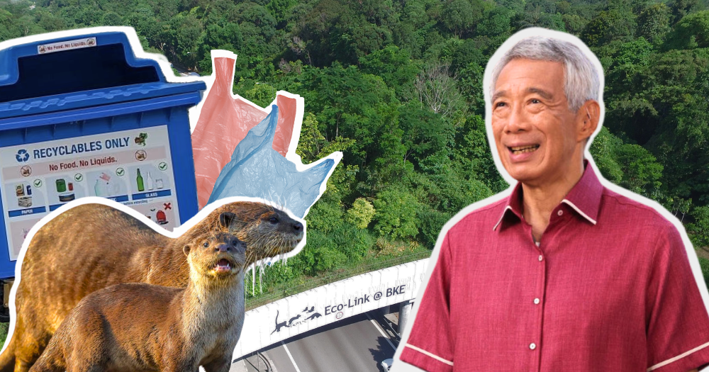 How much greener has S'pore become under PM Lee's stewardship ...