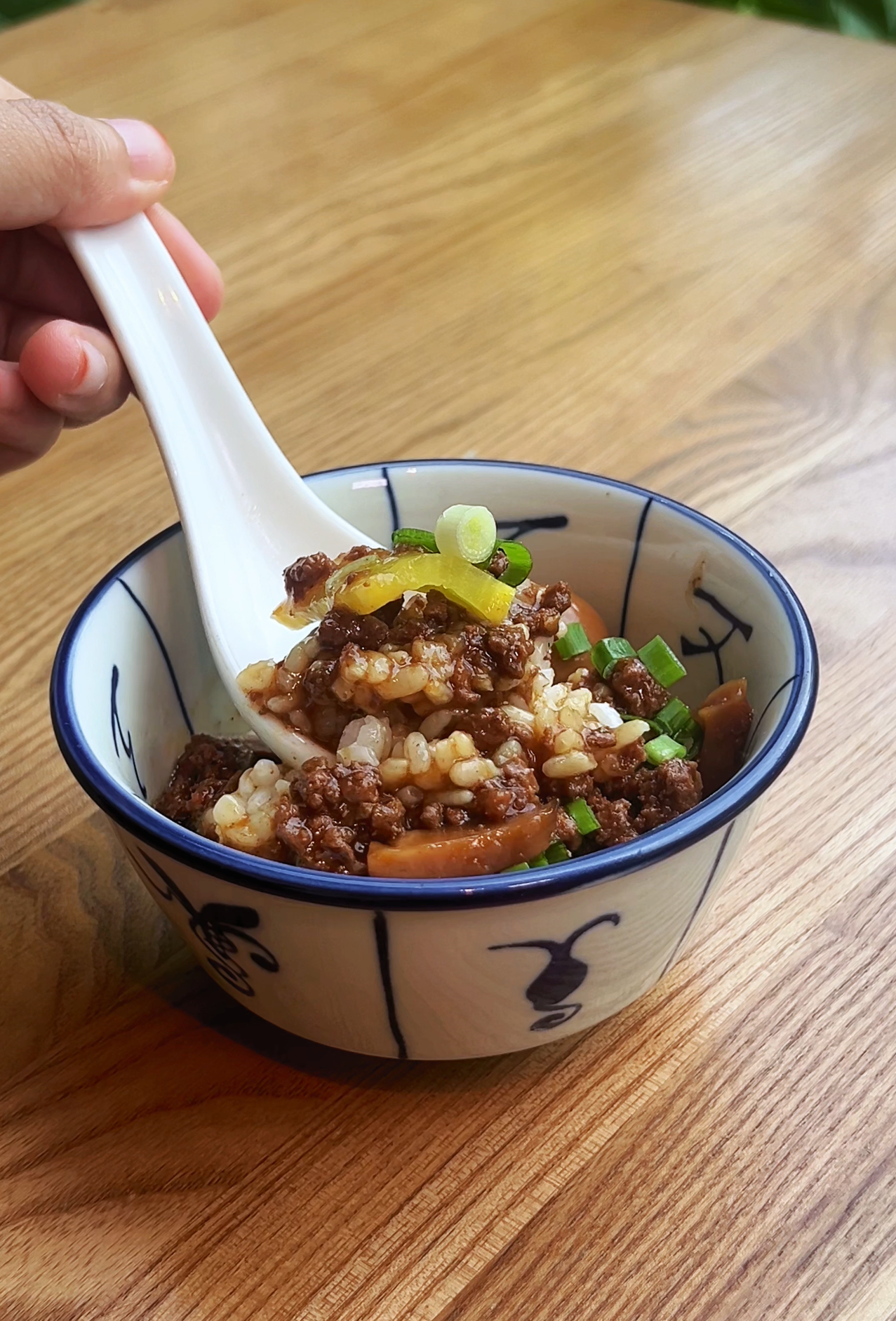 Lu Rou Fan with Minced Beef,