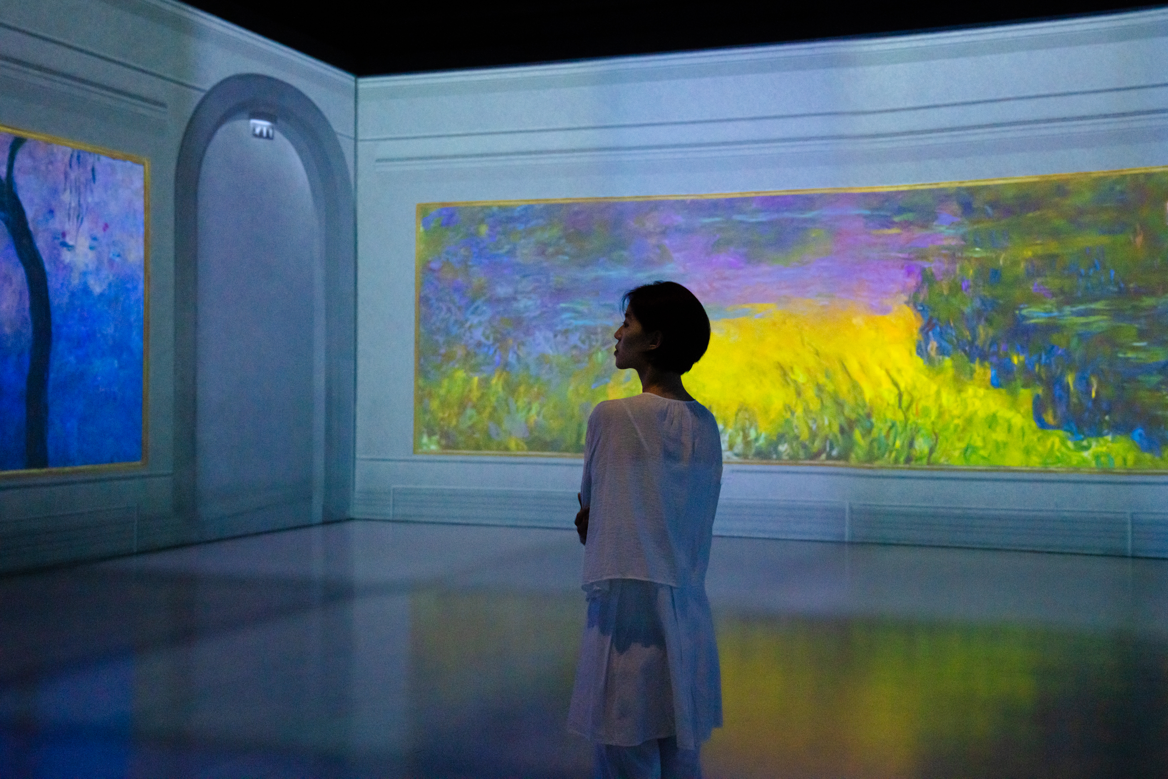 Monet Inside Exhibition