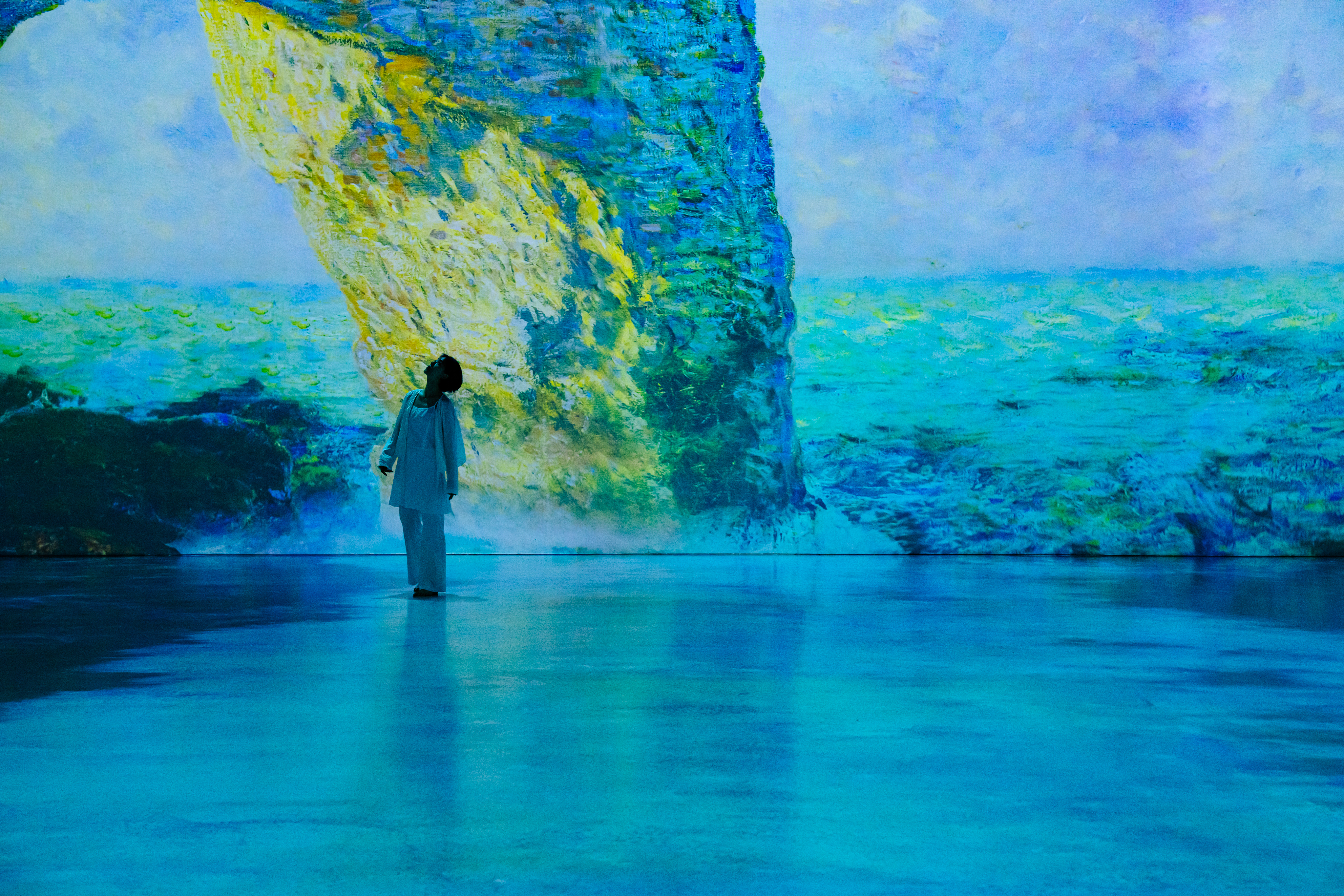 Monet Inside Exhibition