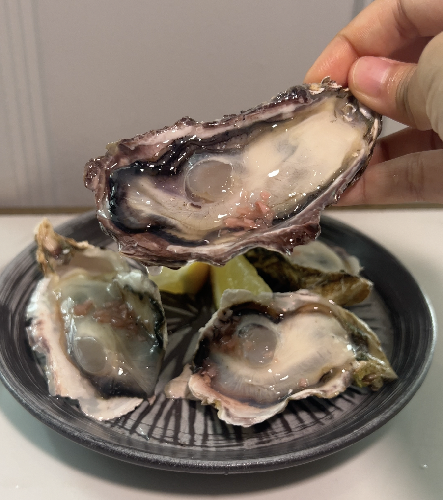 Murotsu Bay Oysters