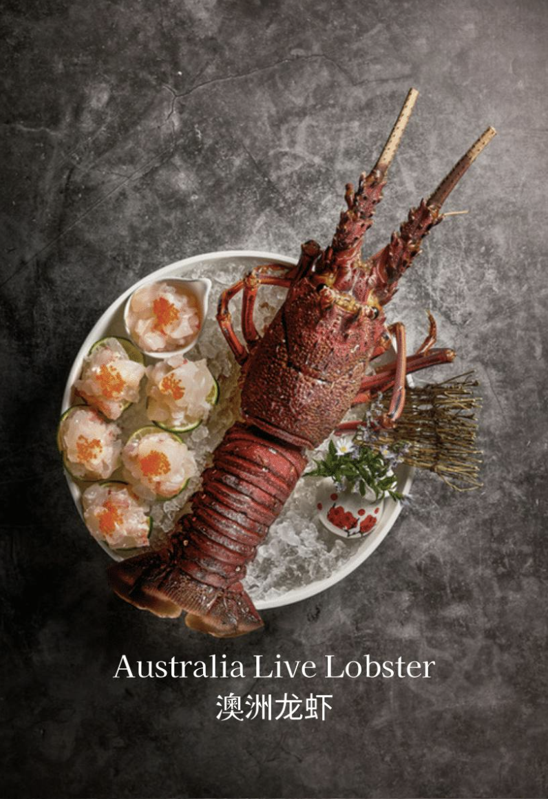 Australia Live Lobster