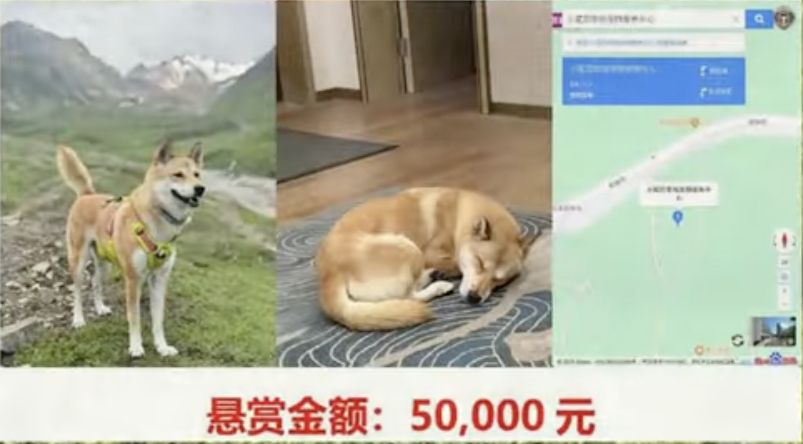 china patrol officers eat dog reward poster