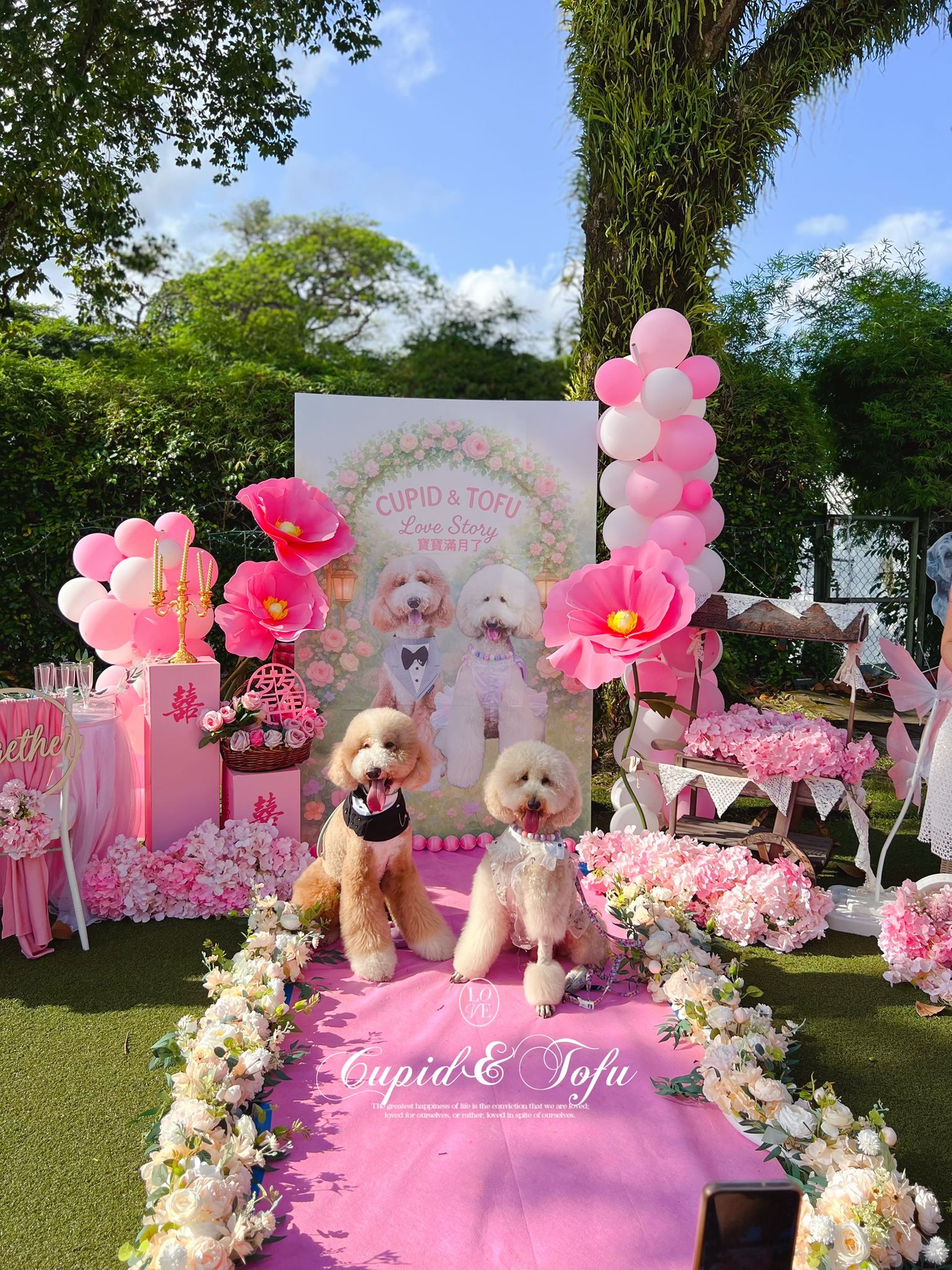 dog wedding photo