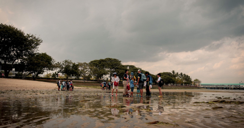 Petition launched to protect Changi beach from reclamation, govt says access to intertidal areas unaffected